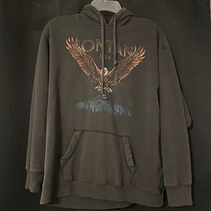 Hollister hoodie
